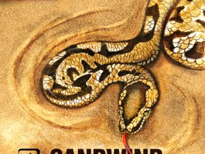 SpinLord Sandwind