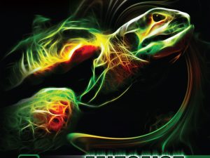 SpinLord Zeitgeist ox (fara burete)