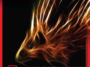 SpinLord Stachelfeuer Premium