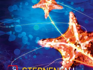 SpinLord Sternenfall PRO