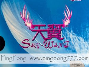 Friendship 729 Sky Wing