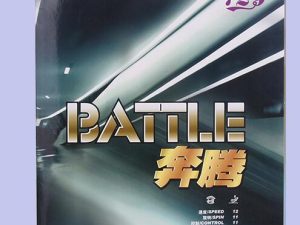 Friendship 729 Battle