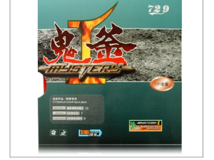 Friendship 799 Mystery