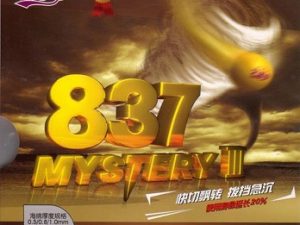Friendship 837 Mystery III