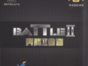 Friendship 729 Battle II