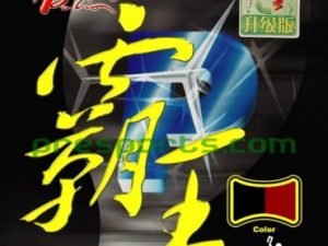 Palio Conqueror Premium