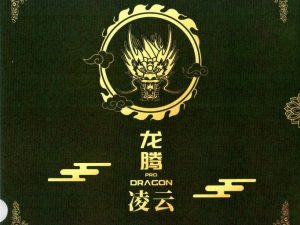 Friendship 729 Dragon-L