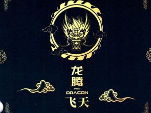 Friendship 729 Dragon-F